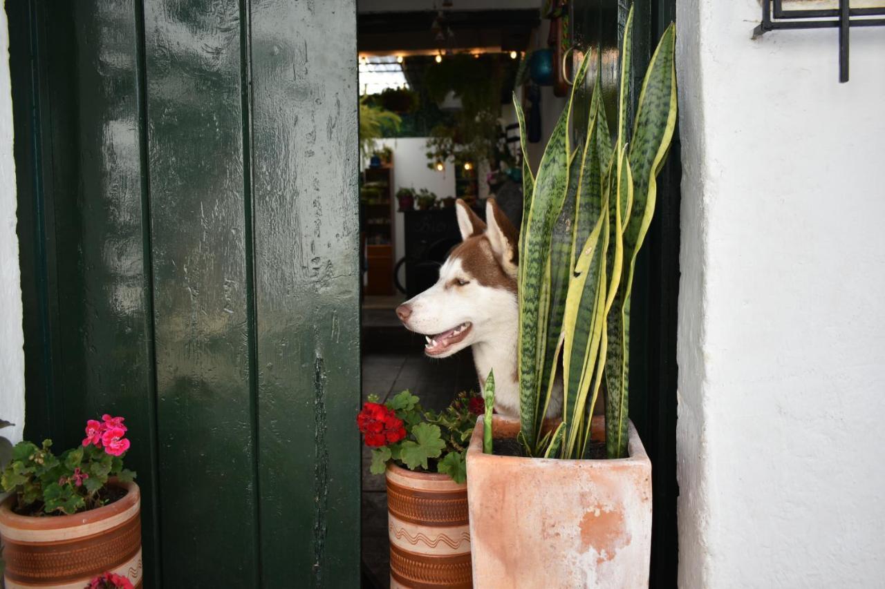 Hospedaje La Casa De Chavela Centro Historico Villa de Leyva Dış mekan fotoğraf